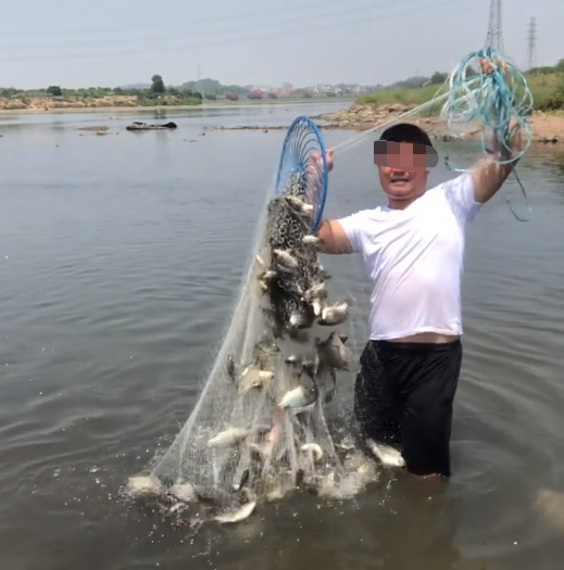 |重庆61万尾鱼苗放归长江，称7天内无人钓鱼, 网友：钓鱼佬被针对了