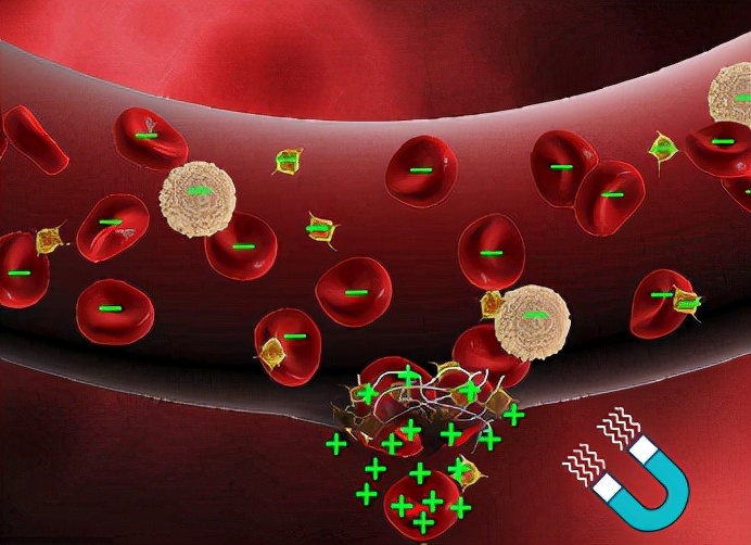 半胱氨酸|“三高”的说法已过时，比“三高”更可怕的“高血同”，你知道吗