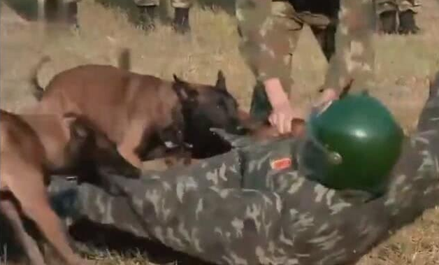 张馨予|张馨予的老公何捷，确实很牛