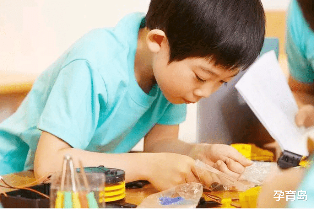 孕育岛|研究表明：孩子的智商高低与出生季节有关，欢迎宝妈“对号入座”