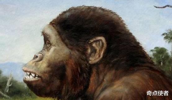 南方古猿 希腊发现605万年前人类脚印！那时南方古猿还未出现，哪来的人？