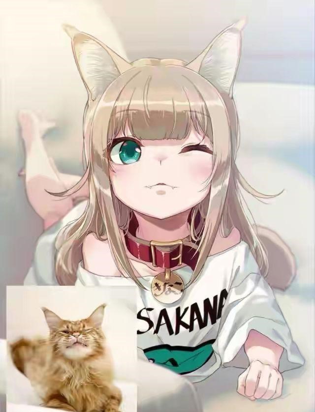 优米麻麻|日本的猫咪视频播主年收破850万日币都上不了前10,我打算改行了