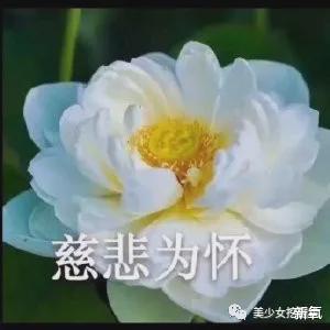 郝富申|粉丝都在等他爆成顶流，他却率先爆出劈腿坐实海王人设？