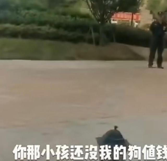 华夏小洋哥|女子遛狗口出狂言: “我的狗比你的孩子值钱”，仔细一查，真有钱