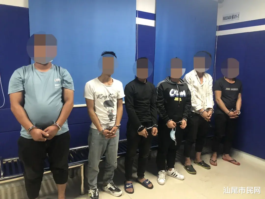 这个犯罪团伙被一网打尽...