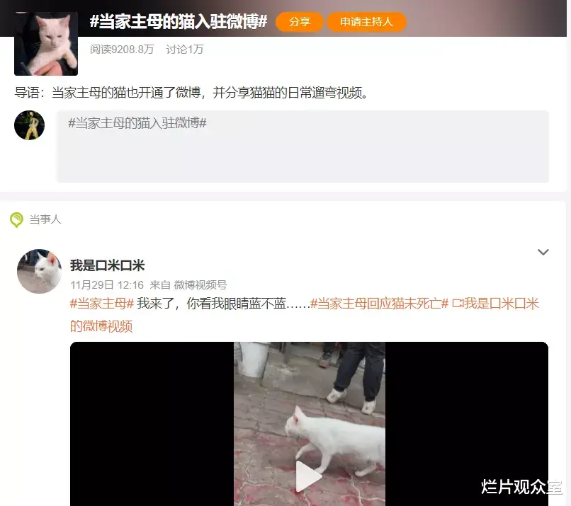 王岳伦|《当家主母》剧组的那只白猫，确实死了