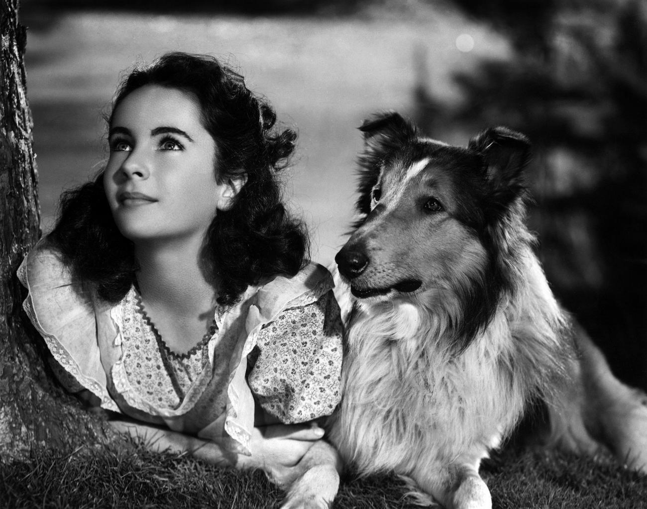 好莱坞|从海蒂·拉玛到吉恩·蒂尔尼,细数好莱坞被誉为“最美”的美人们。