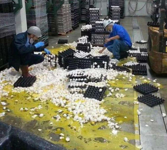 微趣图|47张“倒霉又搞笑”的图片,这些人上辈子是毁灭了银河系吗?