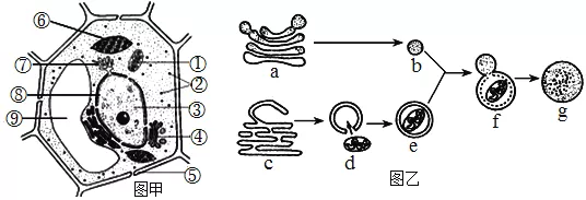 太空 每日打卡   2022高考倒计时235天！