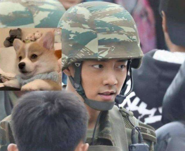 肖战|曝肖战新剧《王牌部队》改网播？本月正式上线，疑似遭央视退货