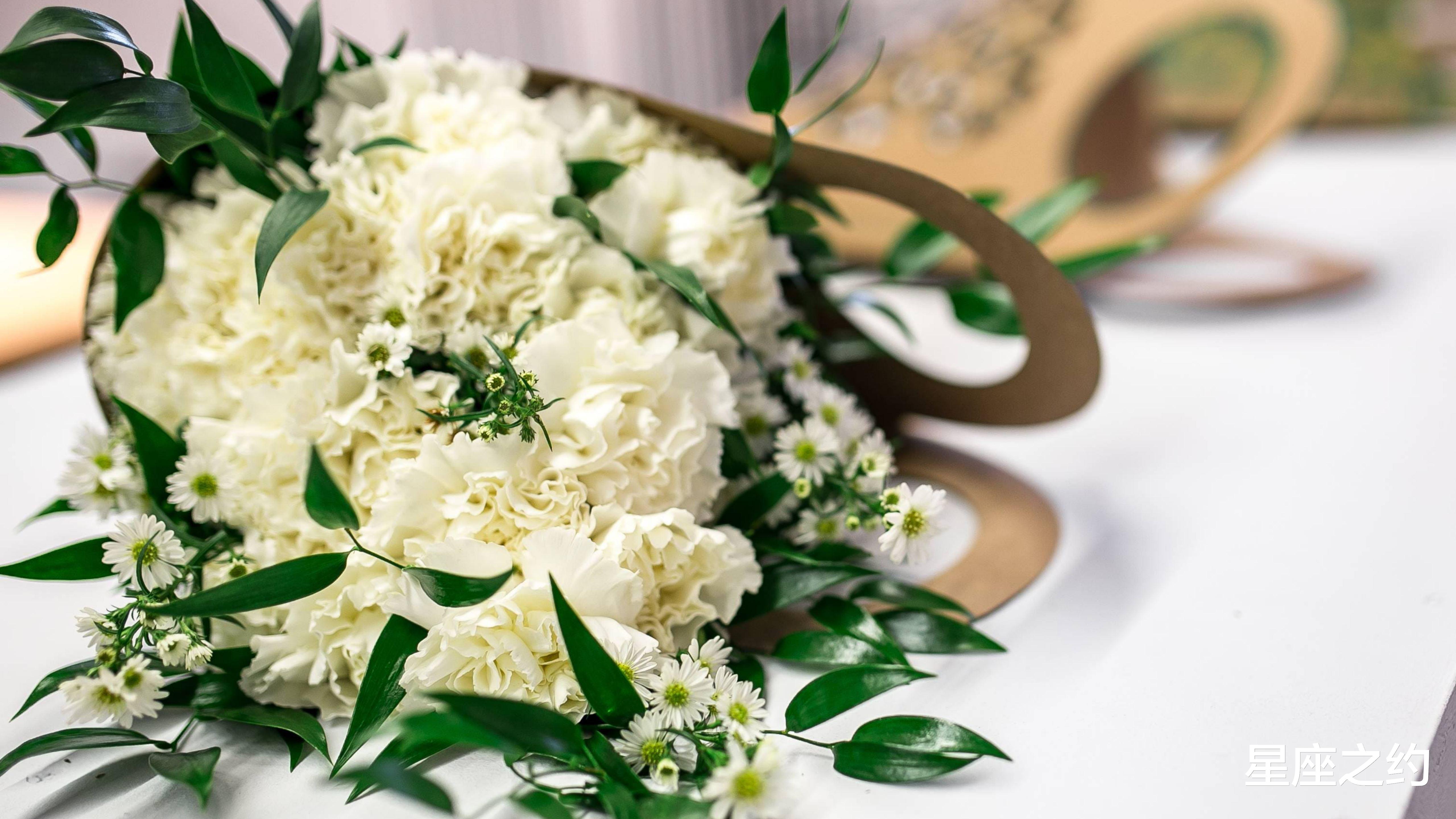 星座运势|1月27日星座运势：双子全力以赴，狮子沟通顺畅，双鱼大度包容