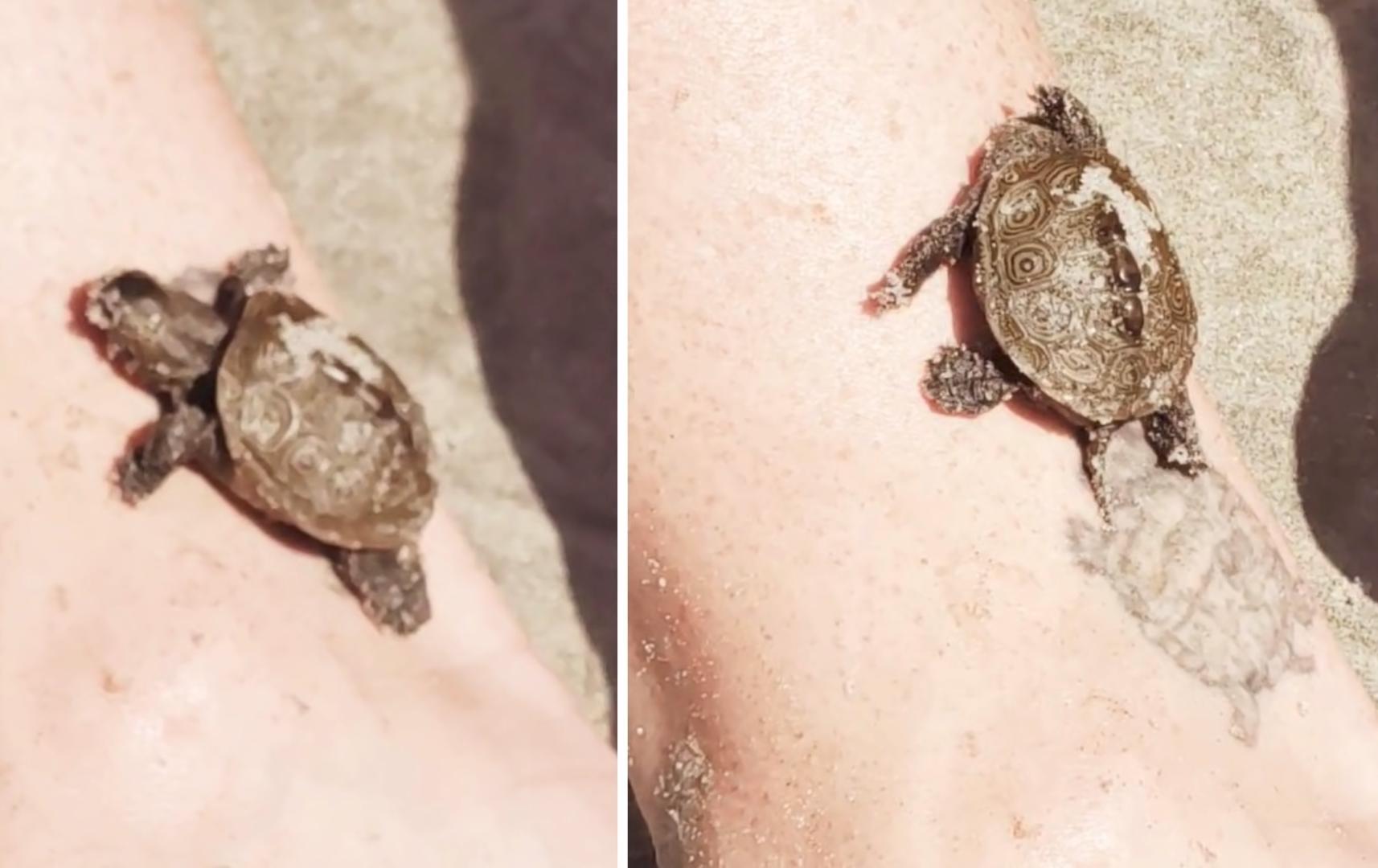 海之归墟|29张难以置信的巧合照片，拍下它的人运气太好了