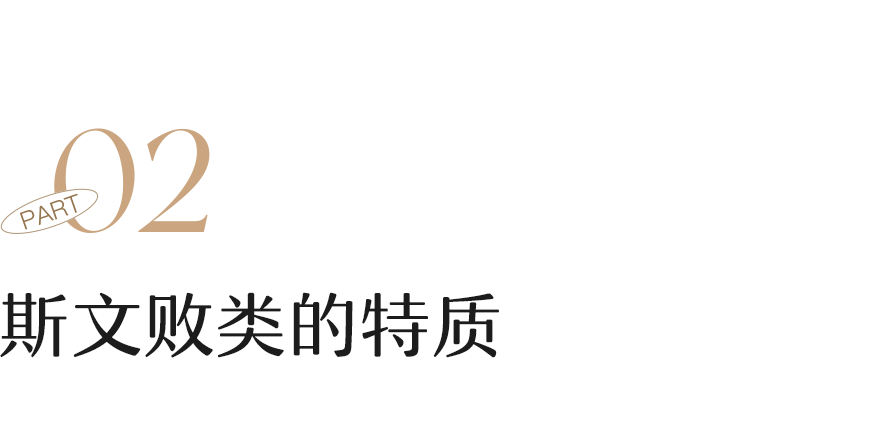 娱乐圈|为什么娱乐圈出不了斯文败类了？