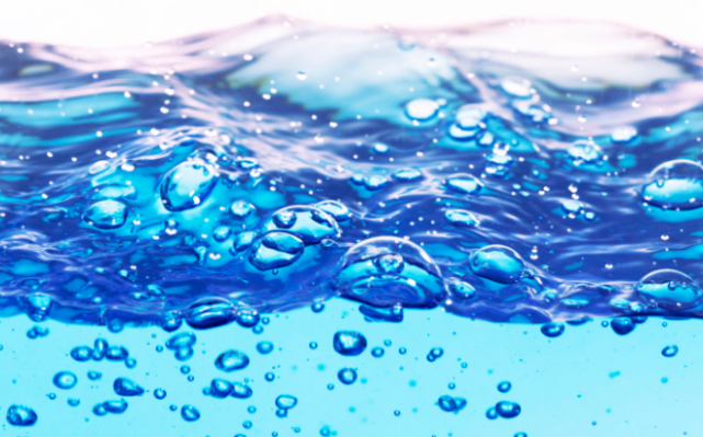 鲸鱼 埃及出土四足鲸鱼,海陆生物演变有多神奇?专家:超出你的想象