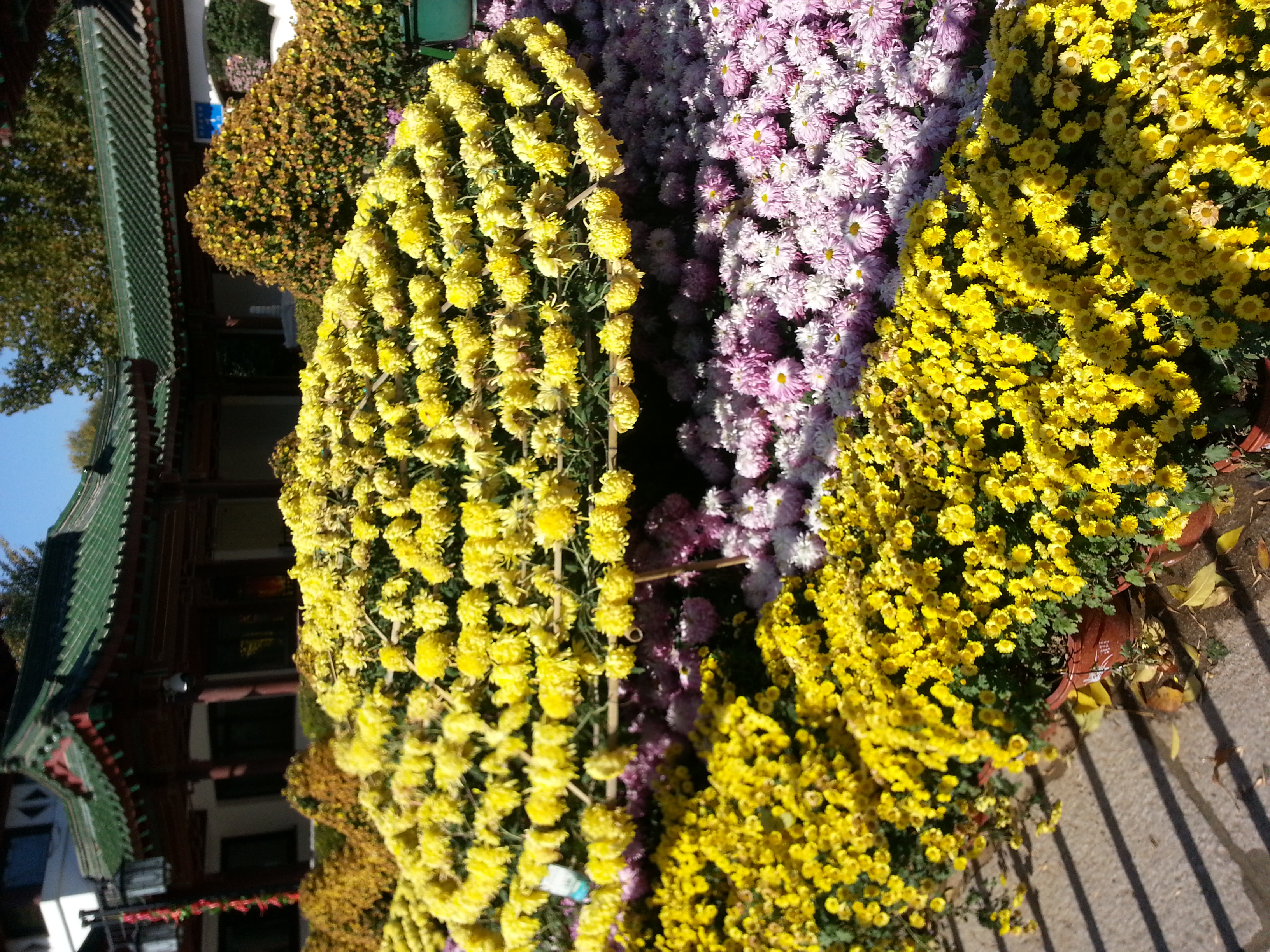 投机 期货交易中的 “顺势而为”，不仅是技术，还有心态！