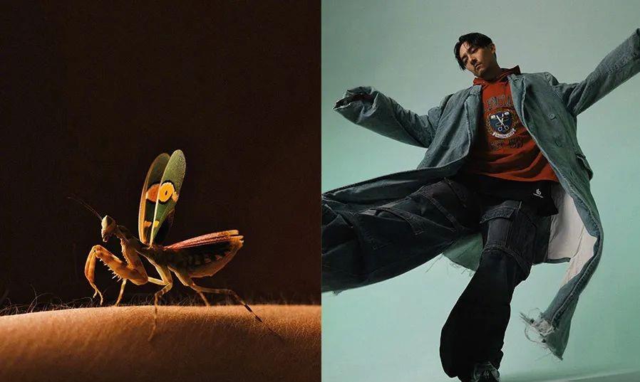 育邻人|组图：男星张震休闲风格杂志大片，新作《沙丘》热映