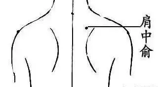 穴位|详解人体各穴位位置及功效!