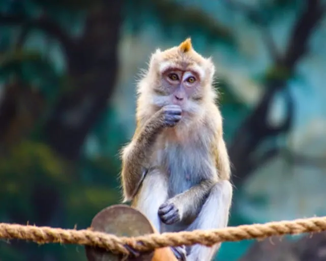 玄风八字运势|9月1日 星期三 七月廿五 吉利的属相有哪些