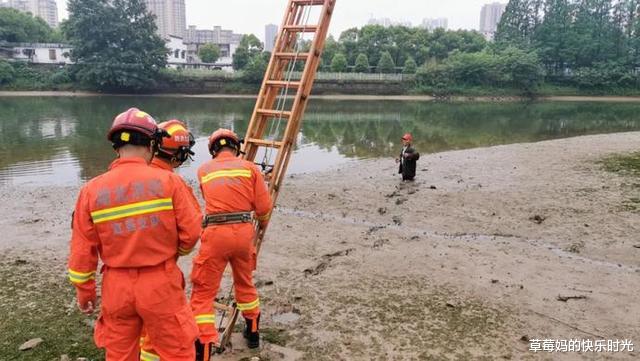 |男子捉鱼深陷河床淤泥 消防搭梯成功救援