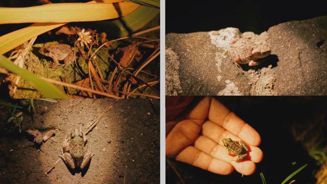 海口|成都一家三口住30亩院子，被媒体捧红后，继续孤独打造乐园