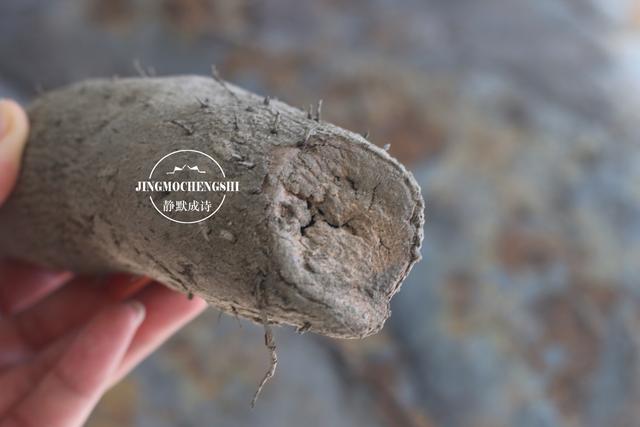 豆浆|喝豆浆也分季节！这款漂亮的豆浆，最适合秋天，比喝牛奶强