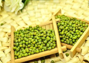 燃脂|脂肪“讨厌”的5种食物,每天敞开吃,燃脂瘦身,变身衣架子