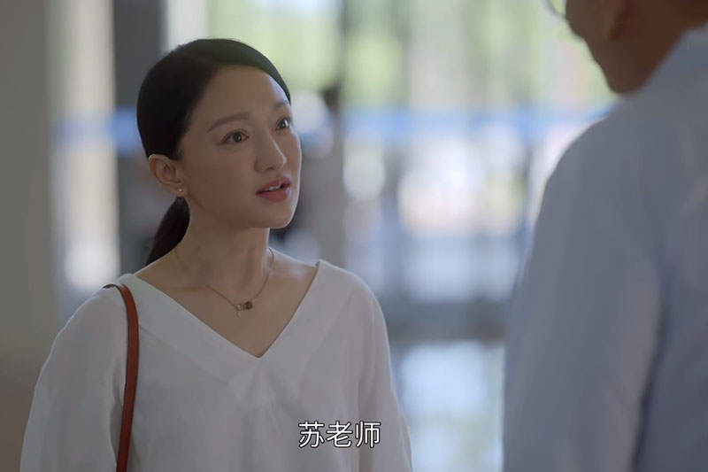 刘小敏|《小敏家》：只露过半张脸的苏老师，才是全剧最可恶的男人