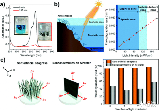 纳米 海草启发水凝胶集成的纳米六边形独立式二维纳米组件的软光催化片