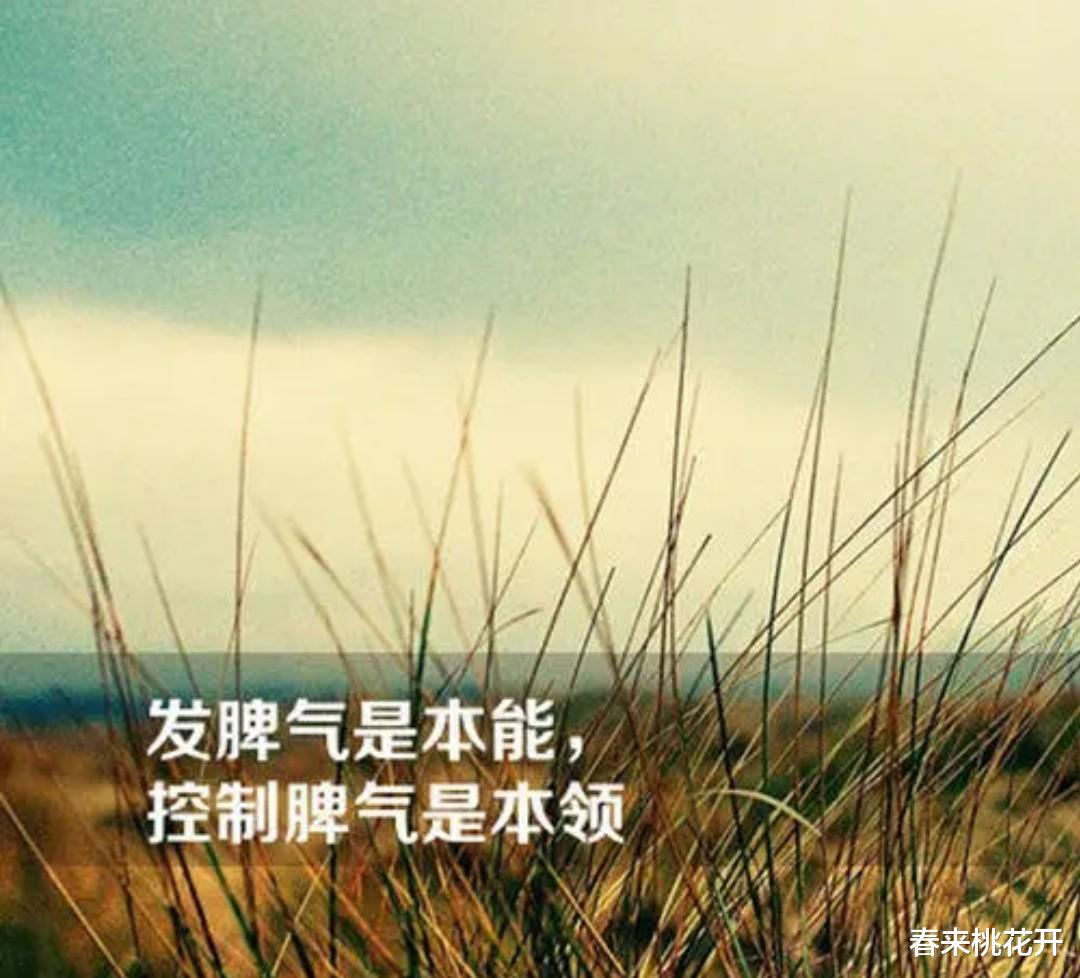奔驰车主因“小事”被保安捅死!妻子崩溃:多大的事情这样拼命?