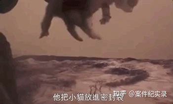 电影 虐猫离杀人有几步？通过一个虐猫视频，揪出了一个杀人犯