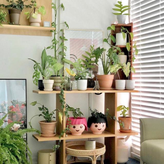 家居师太Monica|00后韩国女主因会布置而走红，全屋温暖治愈，活成人人羡慕的样子