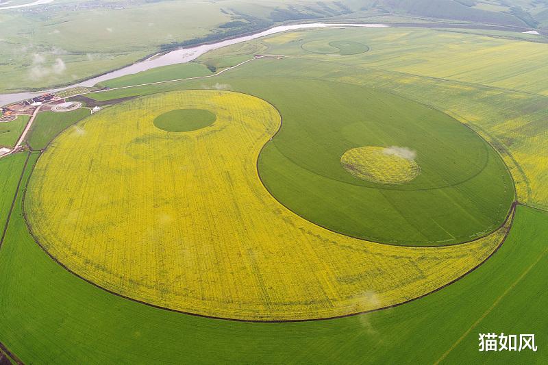 蜘蛛 仔细观察宇宙：每个旋涡里都有不一样的生命规则！
