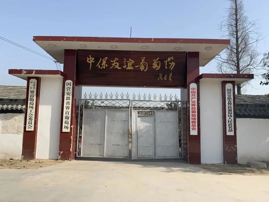 新安江淮 旅游新业态邀您“森呼吸”——国有林场