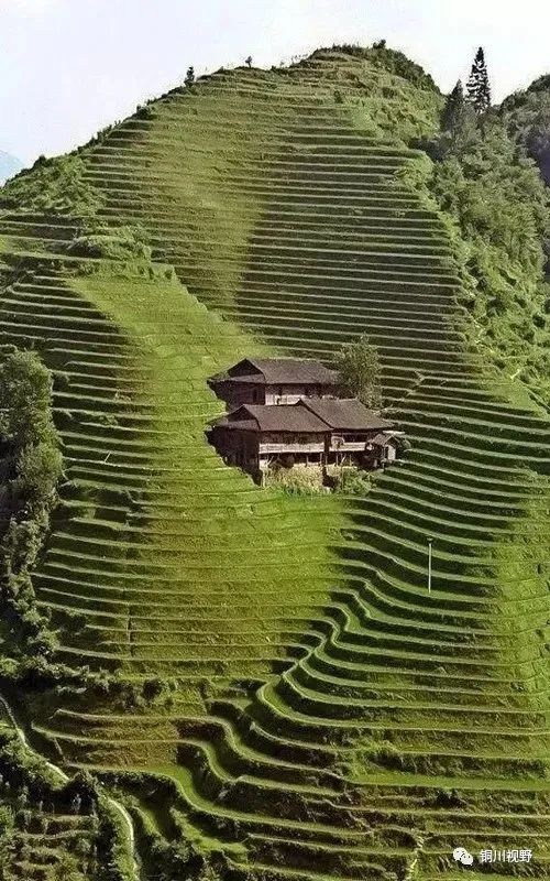 镜头|摄影师镜头下的自然美景，美得无法形容