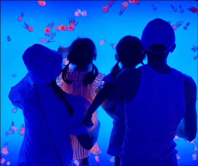 快乐男声|快男感情现状：华晨宇未婚当爸，张杰魏晨婚姻幸福，王栎鑫已离婚