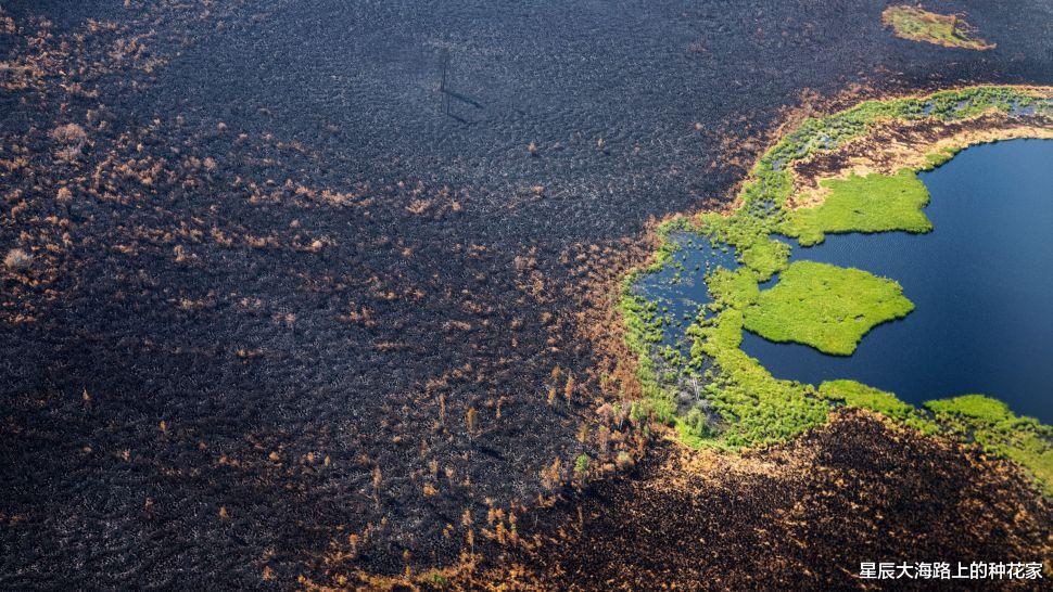 冰盖 今年气候如此不正常，究竟是什么原因？地球真到了最艰难时刻？