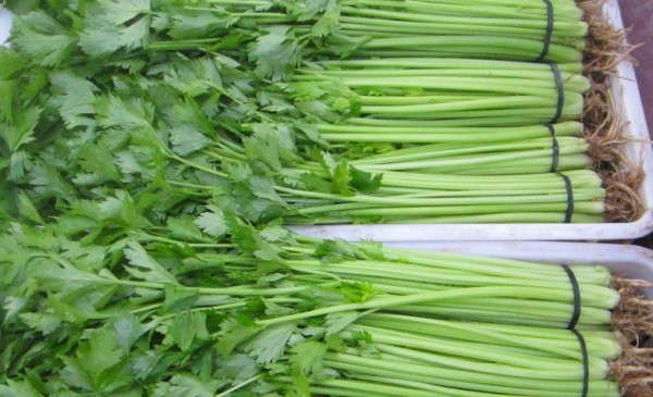 黑色素|平时3个习惯,会加速黑色素沉着和皮肤衰老,若想皮肤亮白水润,这些“扫黑剂”补充起来