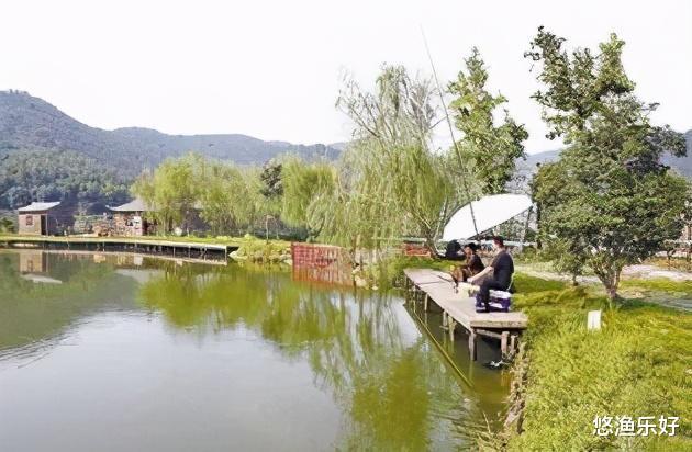 江苏省|五个小妙招，助你打破钓鱼没口僵局