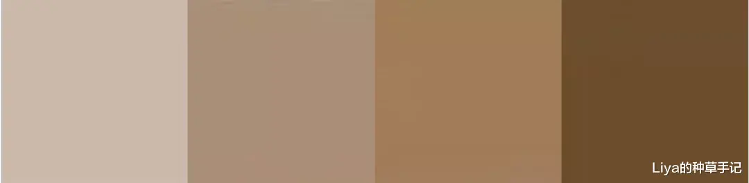 Liya的种草手记|基础款 + 极简风 ，太高级了