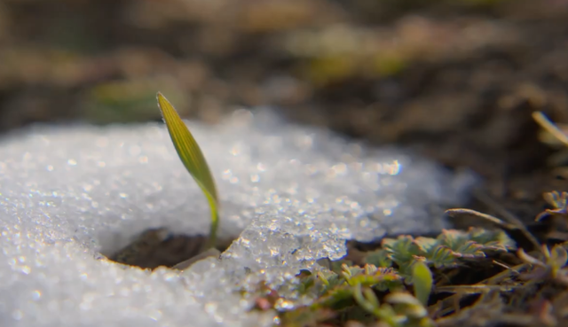 汉江 珠穆朗玛峰冰雪融化:将会露出更多遗体,变成一大难题