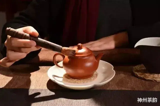 |紫砂壶，选壶、沏壶、养壶、洗壶常识