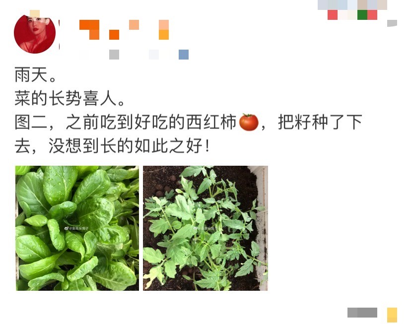 马蓉|马蓉穿旗袍秀婀娜身段，露一截白嫩小腿，身后豪宅富丽堂皇似城堡