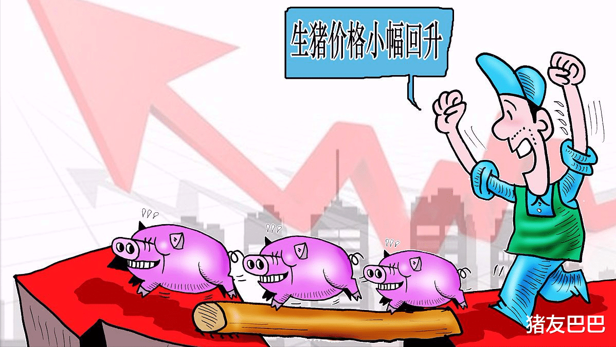 生猪价格 果然！猪价触底上涨了，不过，新的博弈刚开始，警惕2个坏消息！