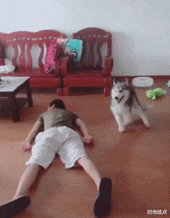 时尚炫点 “如何判断一个男人的能力如何？看腿就行了！”