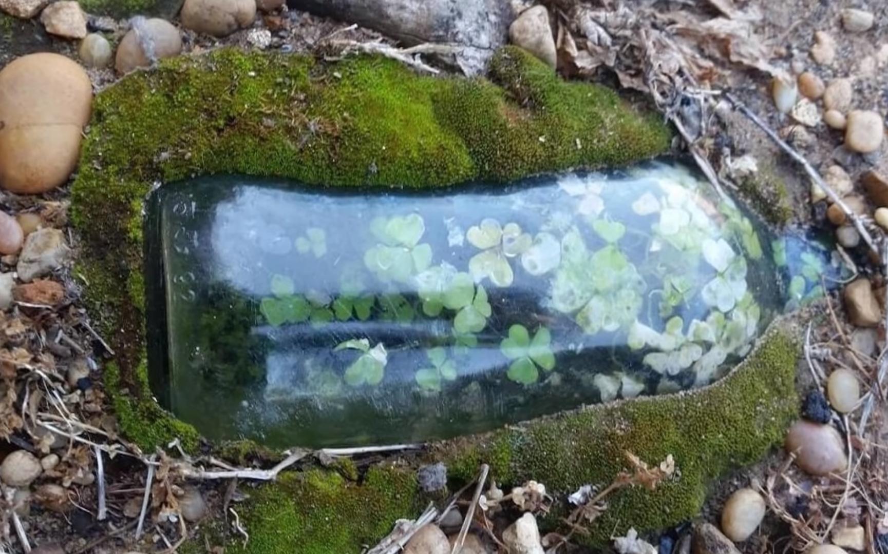 海之归墟|27张罕见的照片，展现了常见事物“不常见”的一面