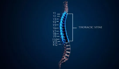 西瓜|中医怎么治疗脊髓损伤