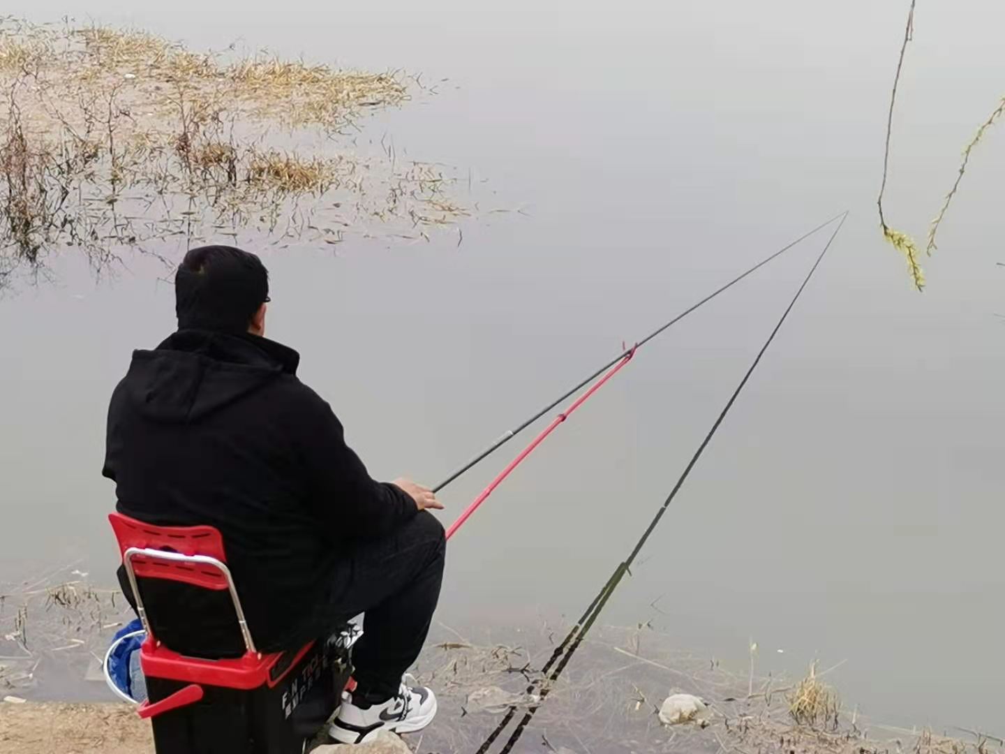 |我五十五岁了，今天“坐观垂钓者”，竟颠覆了我一生的钓鱼观