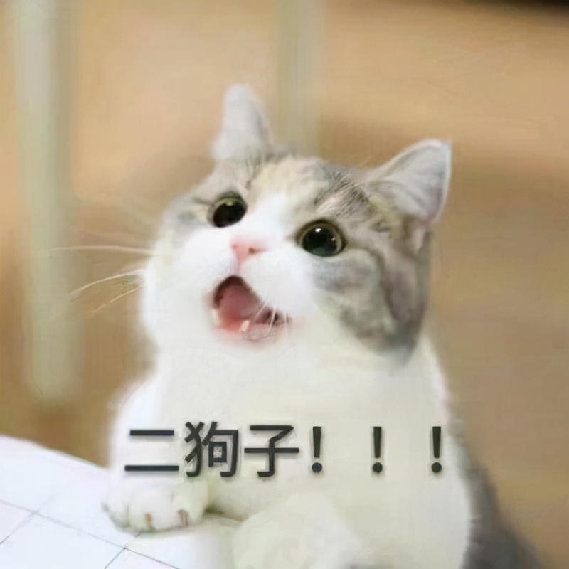 黄瓜|每日一笑：老板给的招聘待遇一般，总是跟我吐槽招人难