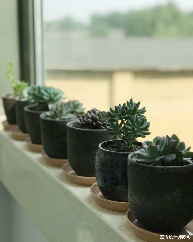 用北欧风重塑三居室,用绿色做点缀,展现出生活的新意和浪漫