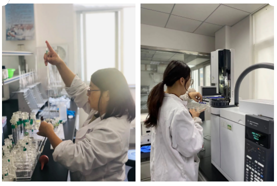 磐安快报 准备买年货的磐安人快看！你爱吃的花生、瓜子…都安全吗？